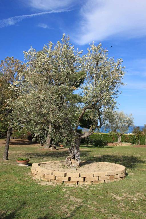 Villa Dolcevita San Costanzo Kültér fotó